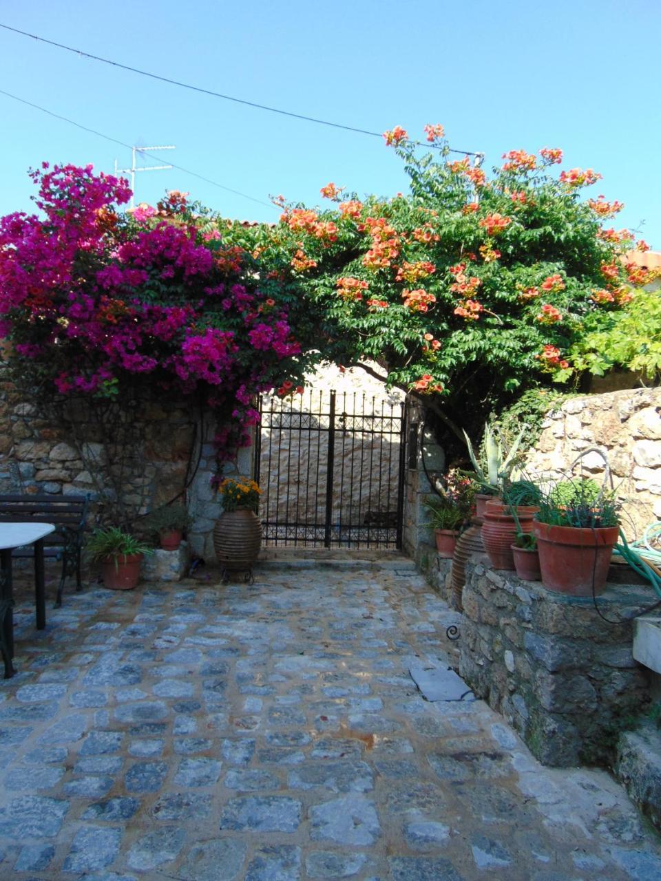 شقة Olga'S House Néon Oítilon المظهر الخارجي الصورة